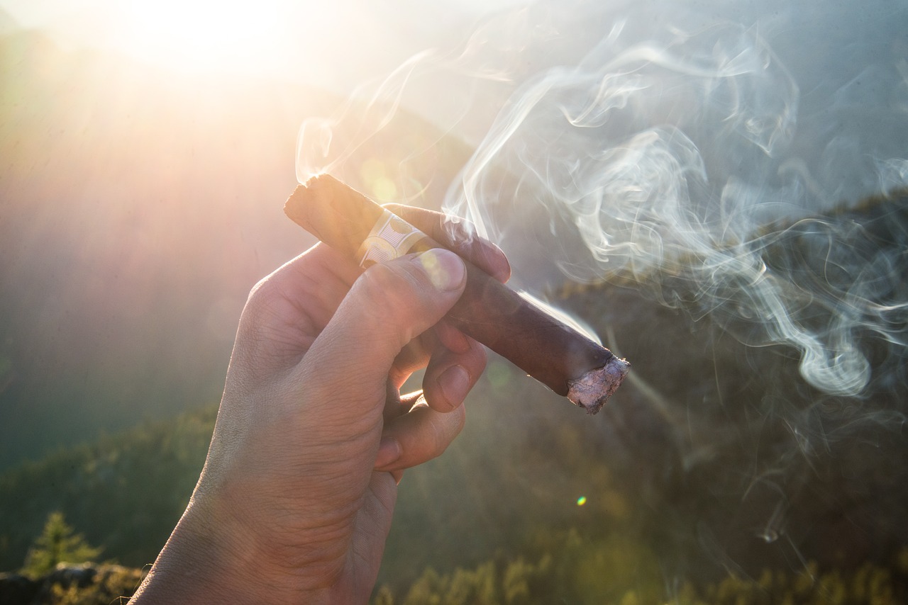 Free Cigar Cigarette photo and picture